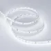 Лента светодиодная 10 Вт/м 24В IP20 6000K 98LED/м RT/RTW-A98-8mm SMD 2835 5 м