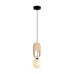 Светильник подвесной Irisa FR5593PL-01B Черный