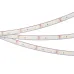 Лента светодиодная 9,6 Вт/м 24В IP68 4000K 120LED/м RT/RTW-A120-8-11mm SMD 2835 5 м