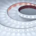 Лента светодиодная 21 Вт/м 24В IP67 6000K 42LED/м FLT-A42-23mm SMD 2835 5 м