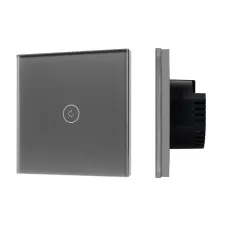 Выключатель сенсорный SWT-OMALI-S01-ZB-GR 250V, 10A, Zigbee Стекло