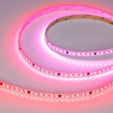 Лента светодиодная 23 Вт/м 24В IP20 RGB 120LED/м SPI-A120-10mm SMD 2835 5 м