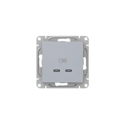 Эпика Механизм розетки USB-C - 2шт алюминий EKF