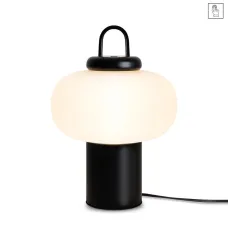 Светильник настольный Freya Take FR6175TL-L10B LED 10W Черный