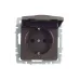 BRITE Розетка 1-местная с заземлением с защитными шторками и крышкой 16А IP44 РСбш10-3-44-БрТБ темная бронза