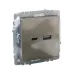 BRITE Розетка USB A+C 18Вт РЮ11-1-БрШ шампань