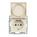 BRITE Розетка 1-местная с заземлением с защитными шторками и крышкой 16А IP44 РСбш10-3-44-БрКр бежевый