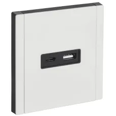 FORTE&PIANO Розетка USB A+C 3,1А FP250M металл белый