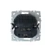 BRITE Розетка 1-местная с заземлением с защитными шторками 16А с USB A+A 5В 2,1А РЮш10-1-БрШ шампань