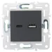 SKANDY Розетка USB A+C 3,1А SK-R14T титан