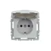 BRITE Розетка 1-местная с заземлением с защитными шторками и крышкой 16А IP44 РСбш10-3-44-БрА алюминий