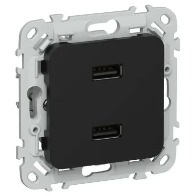FLITE Розетка USB A+A 2,1А РЮ-2-ФлЧ черный