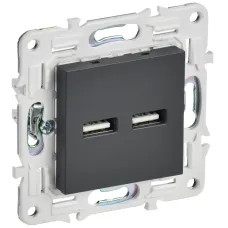 SKANDY Розетка USB A+A 3,1А SK-R15T титан