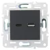 SKANDY Розетка USB A+C 3,1А SK-R14G графит