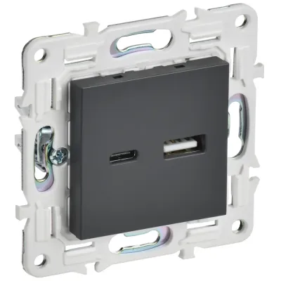 SKANDY Розетка USB A+C 18Вт SK-R13T титан