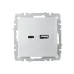 BRITE Розетка USB A+C 18Вт РЮ11-1-БрА алюминий