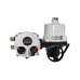 Электропривод AMB-H-030 380В с блоком управления RY IP67 для ШК RJIP DN125-150