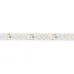 Лента светодиодная 19,2 Вт/м 24В IP20 6000K 160LED/м RZ-A160-15mm SMD 2835 5 м