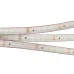 Лента светодиодная 9,6 Вт/м 24В IP67 6000K 120LED/м RT/RTW-A120-8-11mm SMD 2835 5 м Лента светодиодная 9,6 Вт/м 24В IP67 6000K 120LED/м RT/RTW-A120-8-11mm SMD 2835 5 м