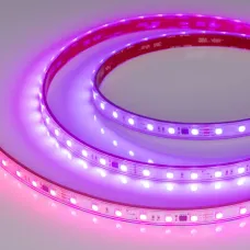 Лента светодиодная 12 Вт/м 24В IP67 RGB 60LED/м SPI-B60-10-12mm SMD 5060 5 м