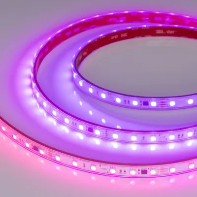 Лента светодиодная 12 Вт/м 24В IP67 RGB 60LED/м SPI-B60-10-12mm SMD 5060 5 м