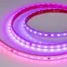 Лента светодиодная 12 Вт/м 24В IP67 RGB 60LED/м SPI-B60-10-12mm SMD 5060 5 м