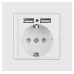 Розетка Intro Accent 6-410-01М , P+E Schuko со шторками, 16А-250В + 2хUSB, IP20, СУ, белый матовый