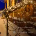 Гирлянда Нить 10м, постоянное свечение, прозрачный ПВХ, 230В, цвет Красный (нужен шнур питания 303-500-1)