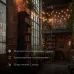 Гирлянда Лофт уличная, 20 ламп х 1LED IP65 черн