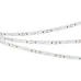Лента светодиодная 9,6 Вт/м 24В IP20 Синий 120LED/м RS-S120-8mm SMD 3014 5 м
