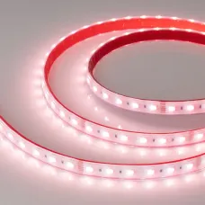 Лента светодиодная 19,2 Вт/м 24В IP67 RGBW 60LED/м RT/RTW-B60-12-14mm SMD 5060 5 м