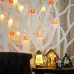 Фонарики тайские Магия 3,5 м, прозрачный ПВХ, 20 LED, теплый белый, питание 2 х АА батарейки не в комплекте