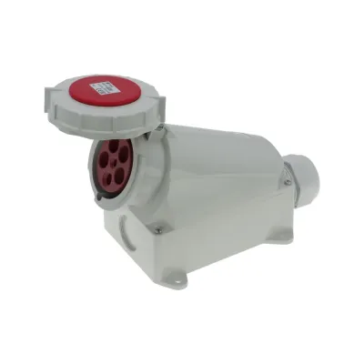 CA136 INPIN Розетка настенная 63A/400V/3P+N+E/IP67
