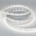 Лента светодиодная 21,6 Вт/м 24В IP20 5000K 300LED/м MICROLED-M300-10mm  SMD 2216 5 м