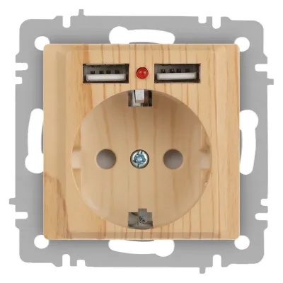 Розетка Intro Accent 6-410-11 , P+E Schuko со шторками, 16А-250В + 2хUSB, IP20, СУ, сосна