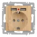 Розетка Intro Accent 6-410-11 , P+E Schuko со шторками, 16А-250В + 2хUSB, IP20, СУ, сосна
