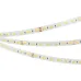Лента светодиодная 19,2 Вт/м 24В IP20 6000K2700K 140LED/м RT-A140-10mm SMD 2835 5 м