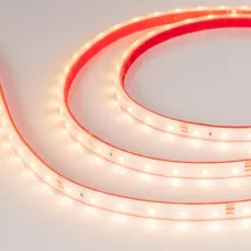 Лента светодиодная 4,8 Вт/м 24В IP67 3000K 60LED/м RT/RTW-A60-8-11mm SMD 2835 50 м