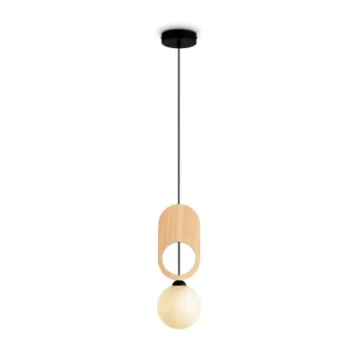 Светильник подвесной Irisa FR5593PL-01B Черный