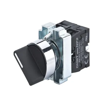 Переключатель NP2-BD23, 2 положения фиксацией, 2НО, IP40 (R)