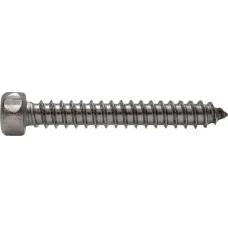 DIN 7976 Саморез с шестигранной головкой 6,3x100 A2 (100 шт)