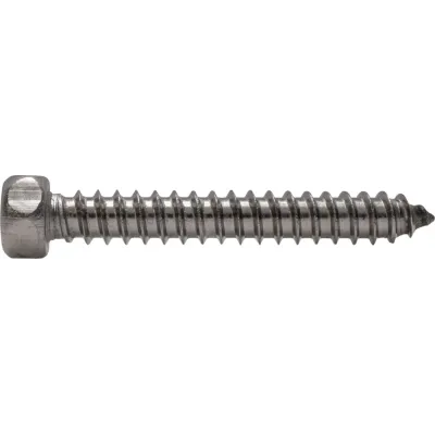 DIN 7976 Саморез с шестигранной головкой 5,5x80 A2 (250 шт)