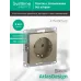 Розетка ATLASDESIGN с заземлением 16А механизм шампань