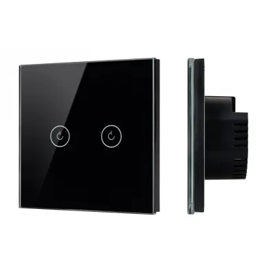 Выключатель сенсорный SWT-OMALI-S02-ZB-BK 250V, 10A, Zigbee Стекло