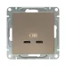 Механизм розетки USB-C - 2шт  шампань Эпика EKF