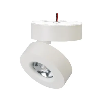 Светильник SP-MONA-SURFACE-R100-12W Day4000 (WH, 24 deg) (, IP40 Металл, 3 года)