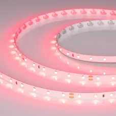 Лента светодиодная 4,8 Вт/м 24В IP20 Рубиновый 60LED/м RT/RTW-A60-8-11mm SMD 2835 5 м
