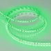 Лента светодиодная 9,6 Вт/м 24В IP20 Зелёный 120LED/м RT/RTW-A120-8-11mm SMD 2835 5 м