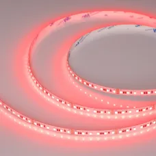 Лента светодиодная 12 Вт/м 24В IP20 RGB 120LED/м RT/RTW-A120-8-10mm SMD 2835 5 м