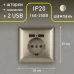 4-410-04 Intro Розетка P+E Schuko со шторками, 16А-250В + 2хUSB, СУ, Solo, шампань (10/100/2500)